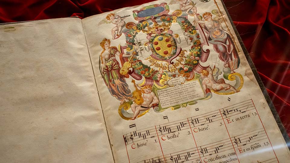 tour medici